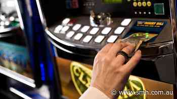 Stark testimony highlights weakness of government’s gambling reforms