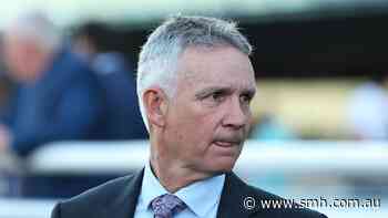 Trainer says gelding will only get better