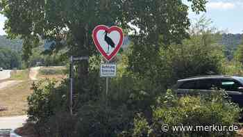 Wichtiger Hinweis für Autofahrer – dieses Straßenschild gibt es nur in Baden-Württemberg