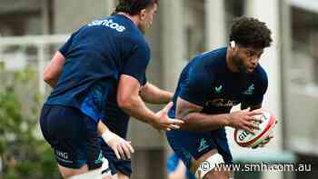 ‘Run us off our feet’: Wallabies’ surprising ploy to prepare for Japanese heat