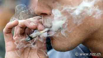 2027 könnte die Schweiz Cannabis legalisieren – mit diesen gefährlichen Folgen ist zu rechnen