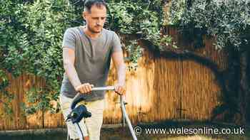 Brown lawns will bounce back this summer with a simple mowing change