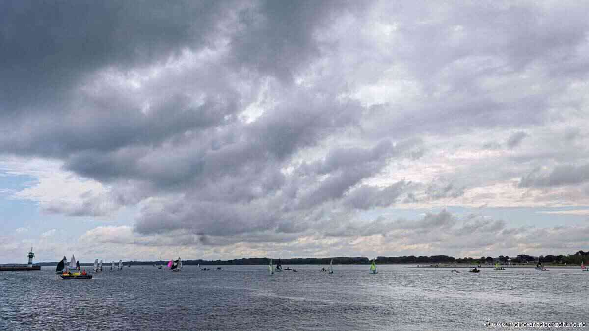 Vibrionen in der Ostsee: Diese Gefahr sollten Urlauber kennen