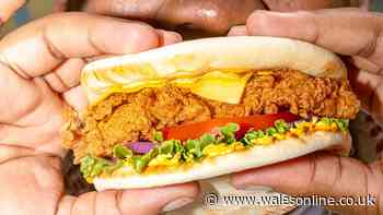 The great naan-stop debate - new data reveals what Brits really want from their national dish
