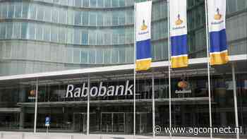Rabobank kondigt grote investeringen in AI aan