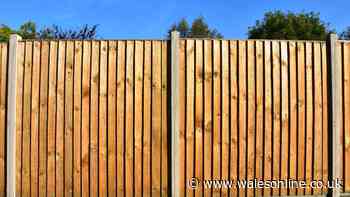 Highest fence you can erect to stop nosey neighbours snooping in your garden