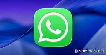 WhatsApp beta for Mac tests flexible update schedules