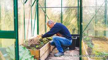 BBC Gardeners’ World star says everyone should plant one thing this month