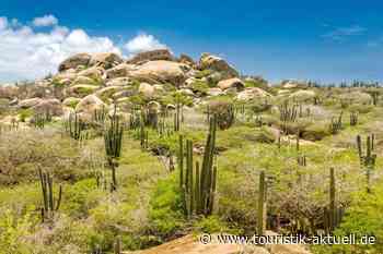 Aruba und Curacao: Gemeinsam auf Deutschland-Roadshow