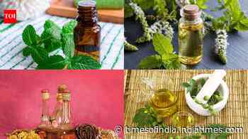 6 DIY mosquito repellents that actually work at home