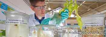 Bayer AG: Mischgemischtes Q2 mit Crop Science als Haupttreiber – KAUFEN