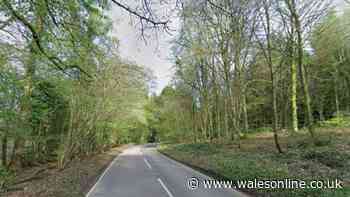 Illegal rave shut down in Welsh woodland after angry villagers call police