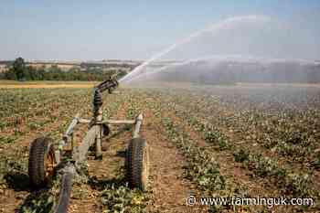 Driest July on record sparks warning over Britain's food supplies