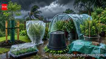 6 simple ways to protect your plants from heavy rain and strong monsoon winds