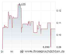 North American Niobium and Critical Minerals Corp. durchteuft anvisierten Pegmatit in allen Bohrlöchern von Bardy