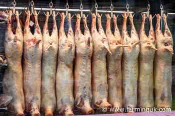 UK meat shipments face rejection under French border rules