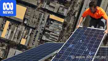 Solar costs for business to be slashed under energy scheme expansion