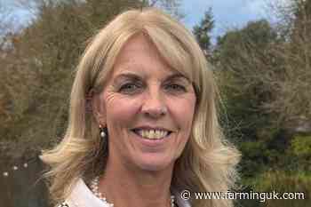 Three senior AHDB roles face redundancy under proposed restructure