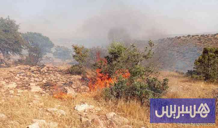 حريق تحت السيطرة في "سوس ماسة"