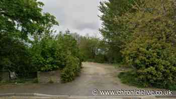 Site of former North East social club could be transformed into supported living bungalows