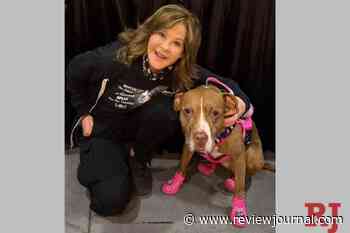 ‘The Exorcist’ actor Linda Blair’s home, dog kennels searched by LA County officials