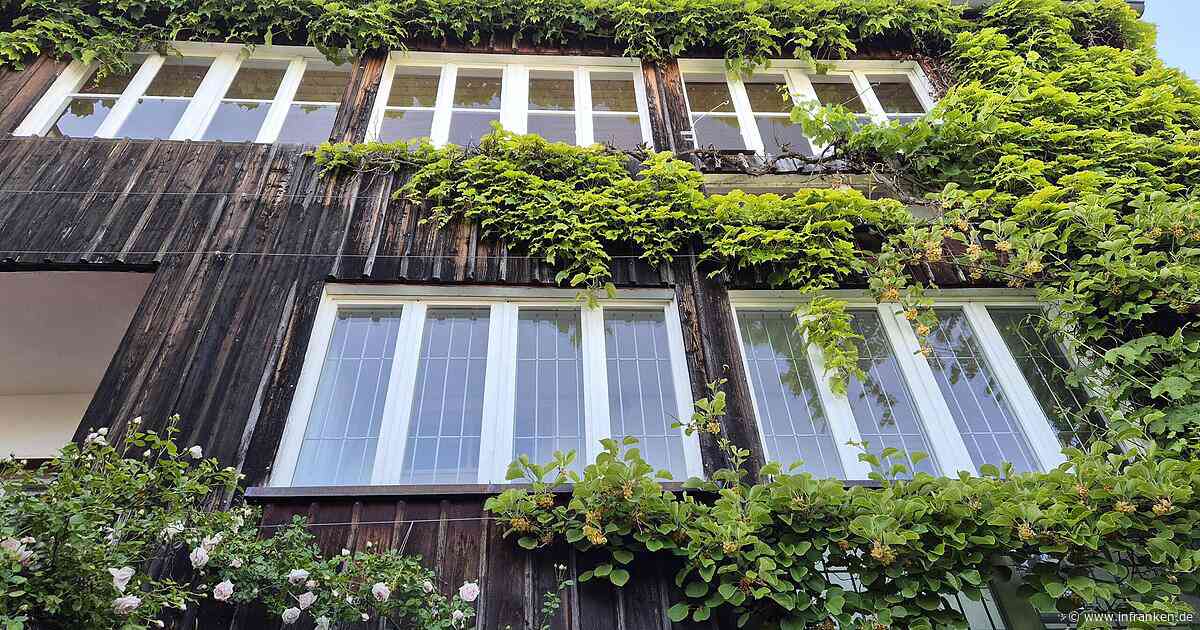 Bamberg fördert Gebäudebegrünung erneut - Anmeldeinfos