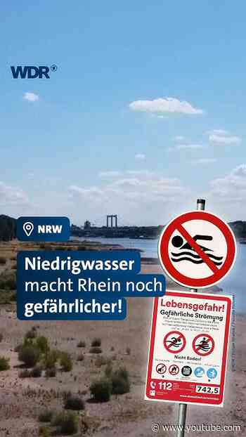 Niedrigwasser am Rhein = Lebensgefahr? I WDR #shorts #niedrigwasser #rhein