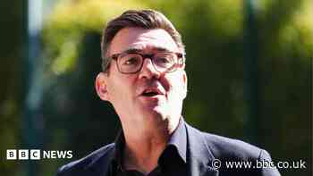 Government to function as normal while Burnham on holiday, No 10 says