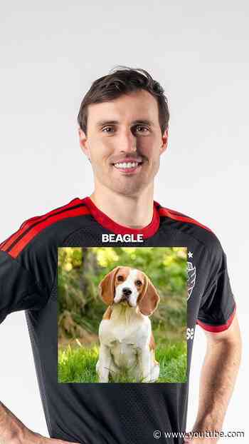 Pups on the Pitch is returning on 8/19, so we gave every player a canine counterpart...🐾