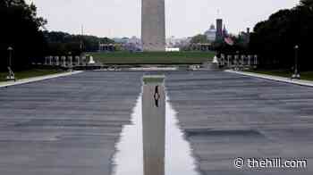 DOJ moves to drop charges against more Reflecting Pool vandalism suspects