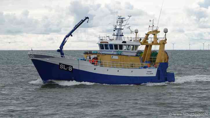 Mooie reizen op kabeljauw uit noordelijke Noordzee