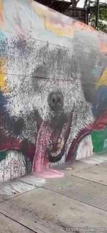 Vandalizan por segunda vez el mural en homenaje al perro rescatista Tsunami en Caracas