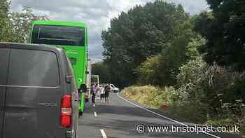 Fallen tree sparks traffic chaos on Portbury Hundred