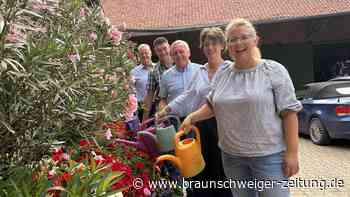 Die Hitze prägt die Ernte 2026 im Kreis Helmstedt – Bauern geraten in Probleme