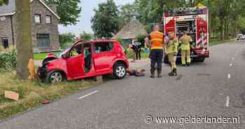 Auto botst frontaal tegen boom in Rhenen: drie gewonden naar het ziekenhuis