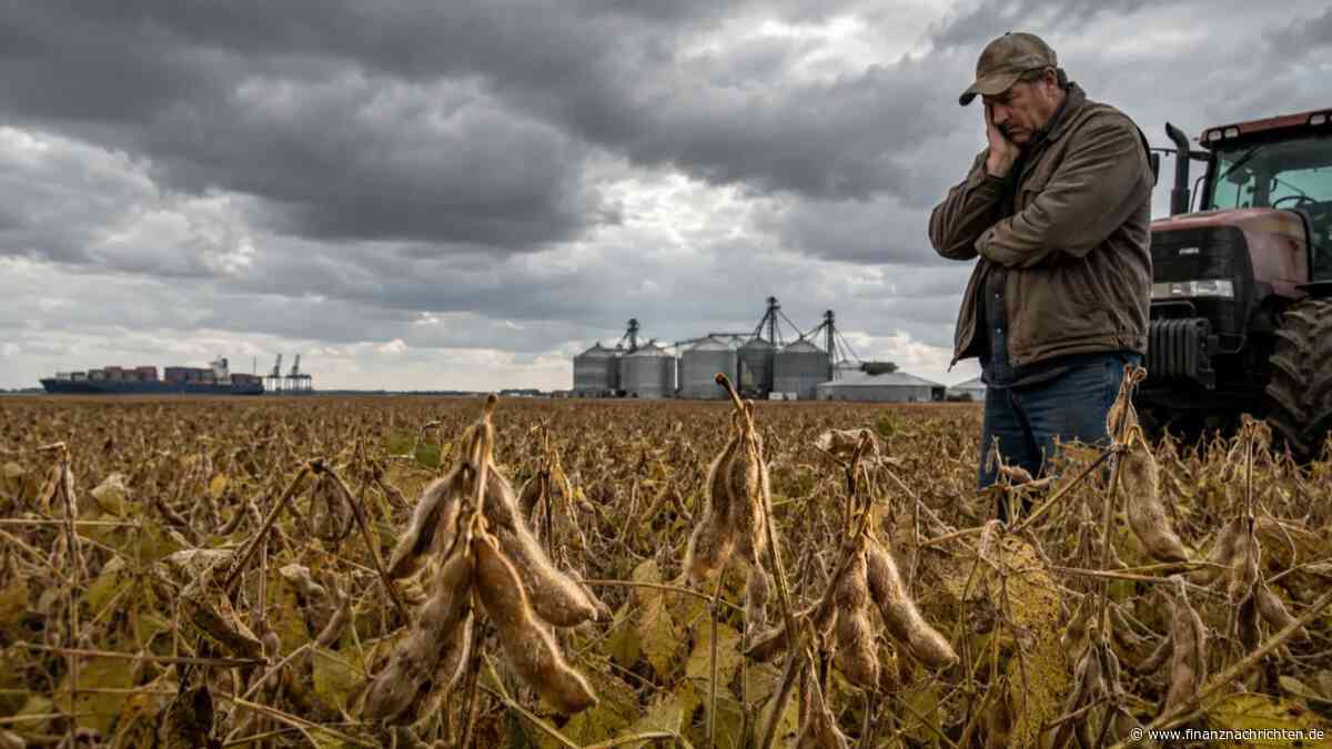 Chinas Käufe bleiben aus: Trumps "goldenes Zeitalter" wird für Amerikas Farmer zum Milliarden-Desaster