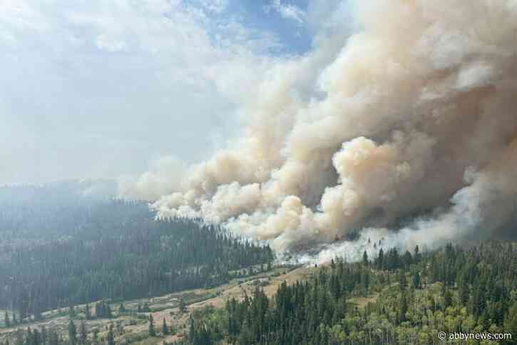 Extent of loss due to Big Bar fires becoming clearer