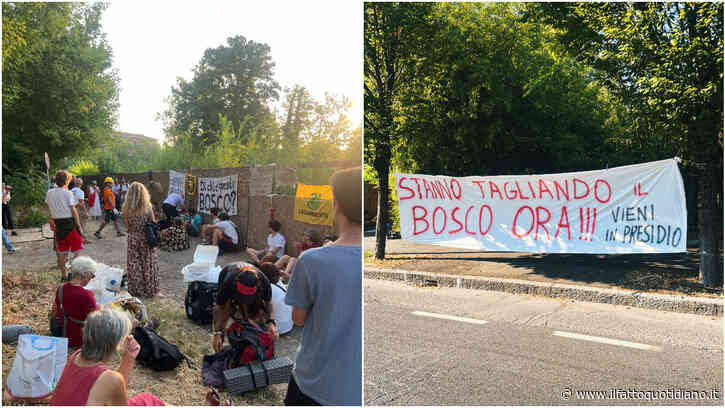 A Reggio Emilia continua la resistenza per salvare il polmone verde della città. Gli attivisti: “Il Bosco Ospizio non si vende, si difende”