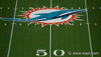 Fins owner tabs son-in-law to lead football ops
