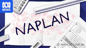 'National tragedy': Experts warn of concerning NAPLAN knowledge gaps