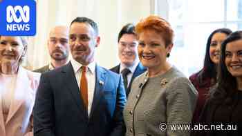 One Nation's new Victorian leader promoted conspiracy