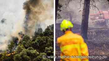 Waldbrand wütet nahe deutscher Grenze: Nina-Warnapp löst aus