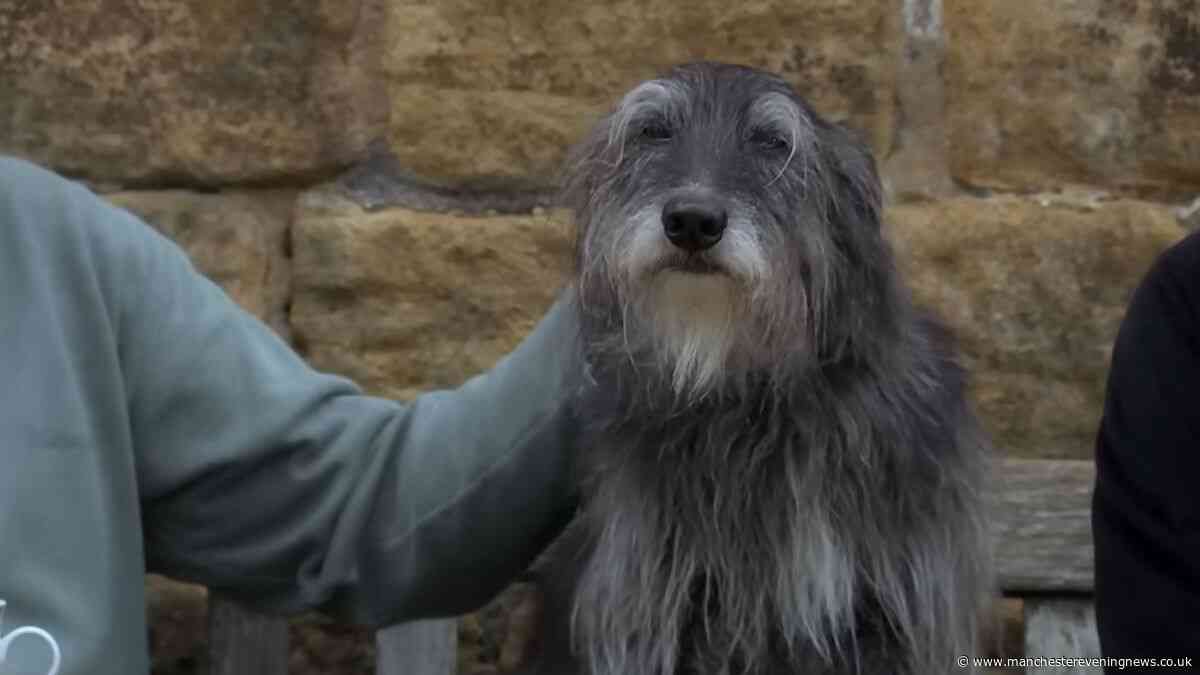 Emmerdale fans 'bawling' over Monty as Dingles make heartbreaking decision