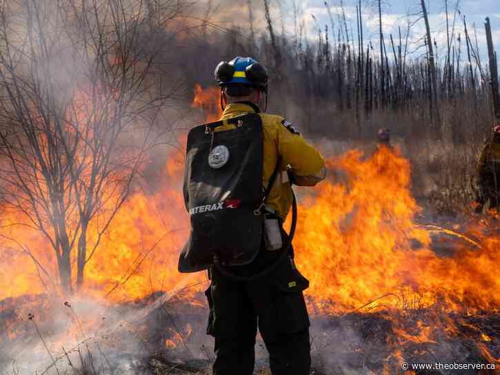 Lambton College to offer wildfire prevention and emergency response program in fall 2027