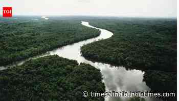 China's tree patches restored forests, but reached only 19–30% of natural diversity in 20 years