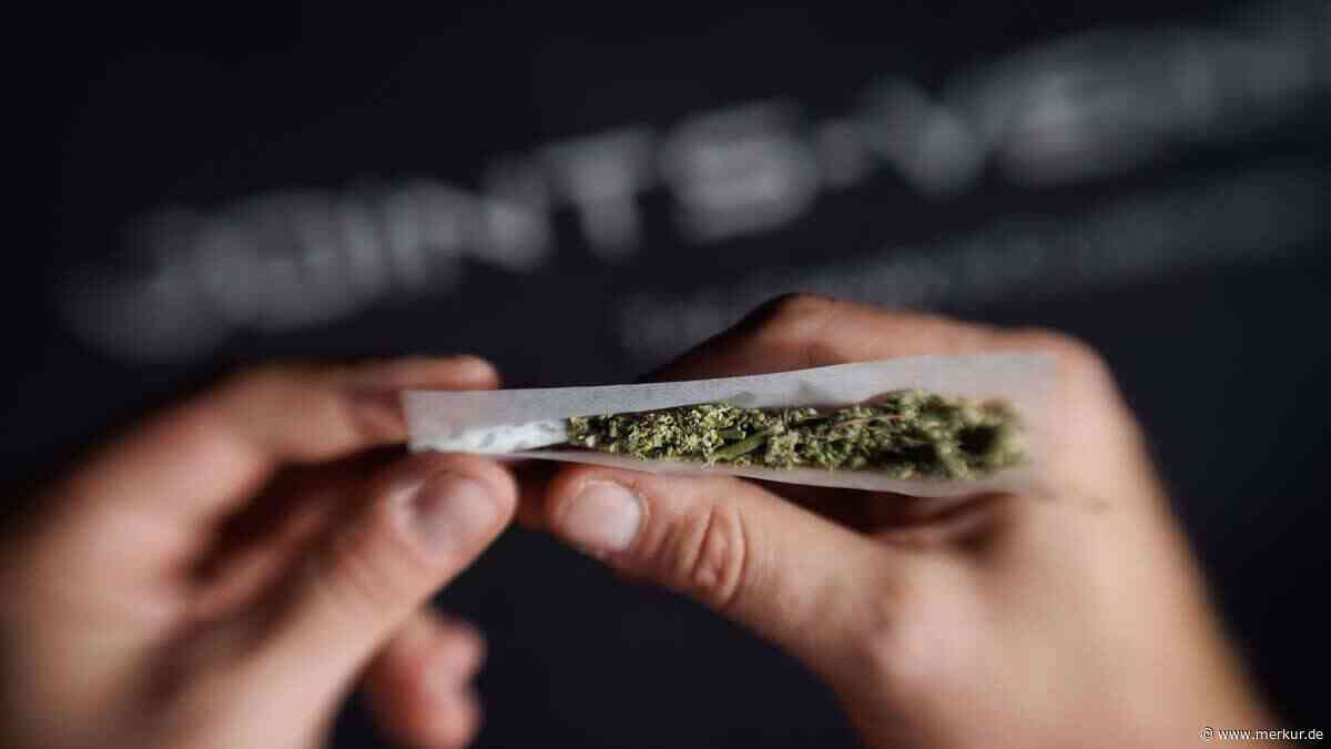 Vom Boom zum Absturz: Cannabis-Konzern verliert fast alles und schickt zwei Töchter in die Insolvenz