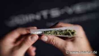 Vom Boom zum Absturz: Cannabis-Konzern verliert fast alles und schickt zwei Töchter in die Insolvenz
