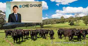 Australian beef faces a perfect storm of competition and opportunity