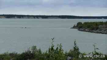 Missing Alberta man may have drowned while fishing in northern Manitoba, RCMP say