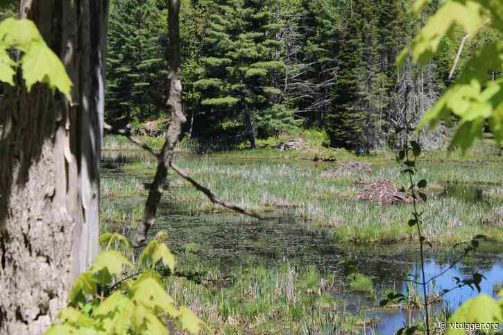 Phil Scott administration pushes through wetlands changes, despite lawmakers’ objections